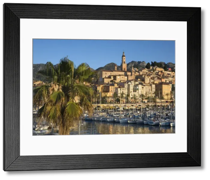 Framed Print : Menton, French Riviera Framed Print : Menton, French Riviera
