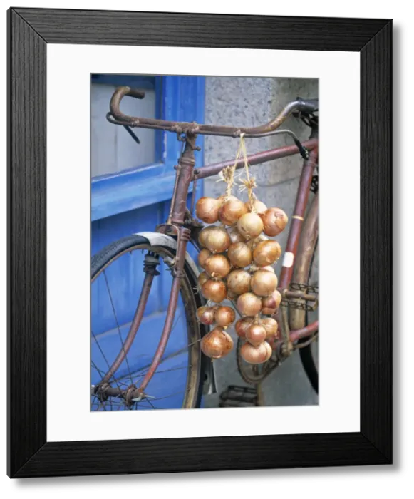 Framed Print : Roscoff, Finistere region Framed Print : Roscoff, Finistere region