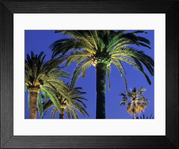 Framed Print : Place Albert Framed Print : Place Albert