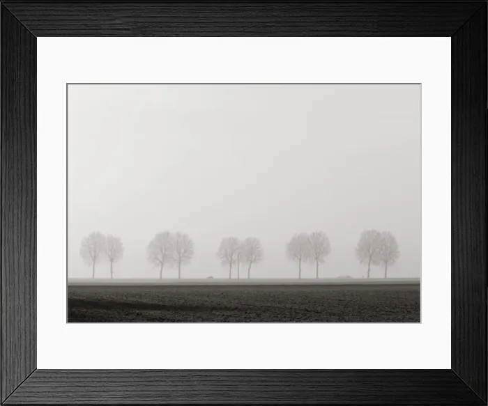 Framed Print : Tree lined country Road, Burgundy, France Framed Print : Tree lined country Road, Burgundy, France