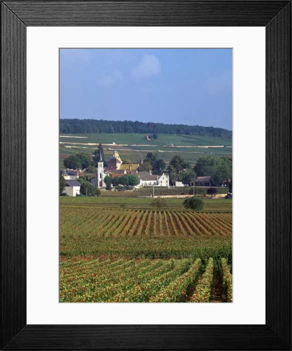 Framed Print : Aloxe-Corton Framed Print : Aloxe-Corton