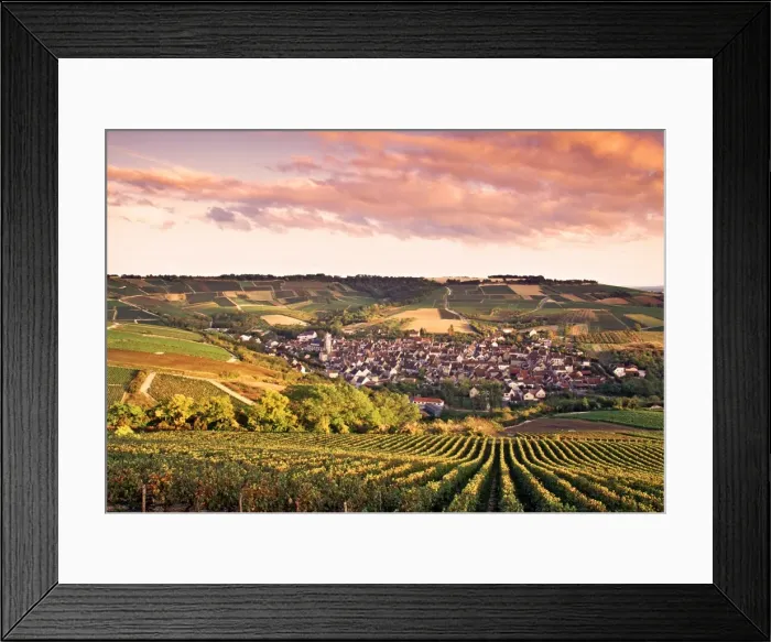 Framed Print : Irancy, Chablis Framed Print : Irancy, Chablis