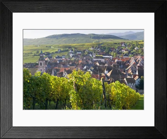 Framed Print : Old wine town of Riquewihr & vineyard, Alsace, France Framed Print : Old wine town of Riquewihr & vineyard, Alsace, France