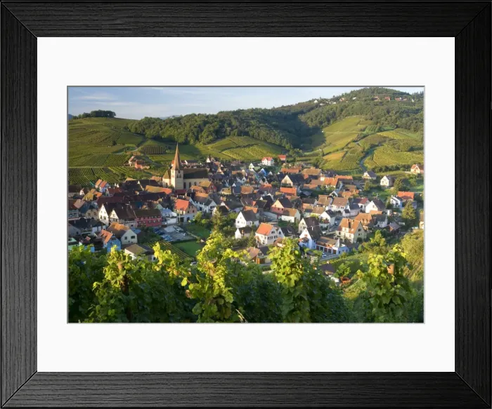 Framed Print : Niedermorschwihr