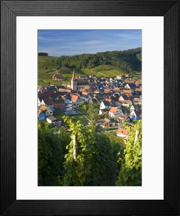 Framed Print : Niedermorschwihr Framed Print : Niedermorschwihr