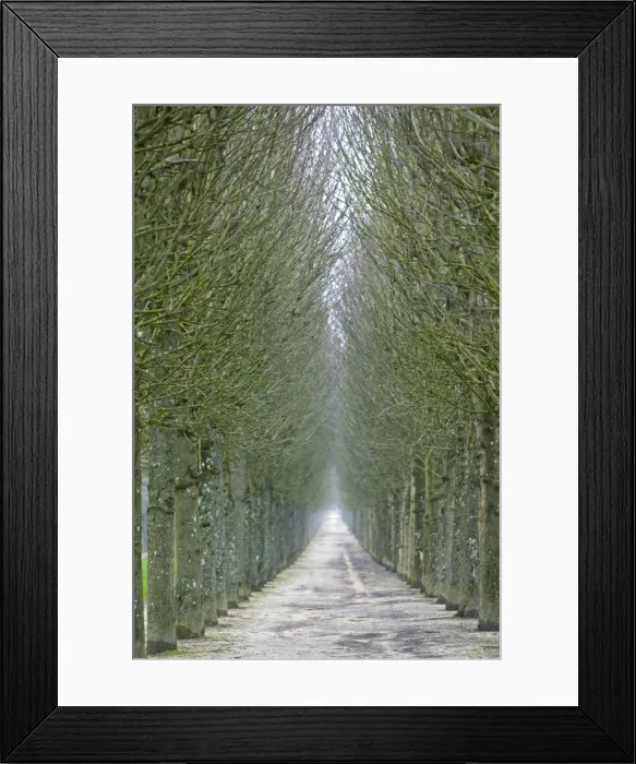 Framed Print : Chateau de Fontainebleau, Seine et Marne, France Framed Print : Chateau de Fontainebleau, Seine et Marne, France