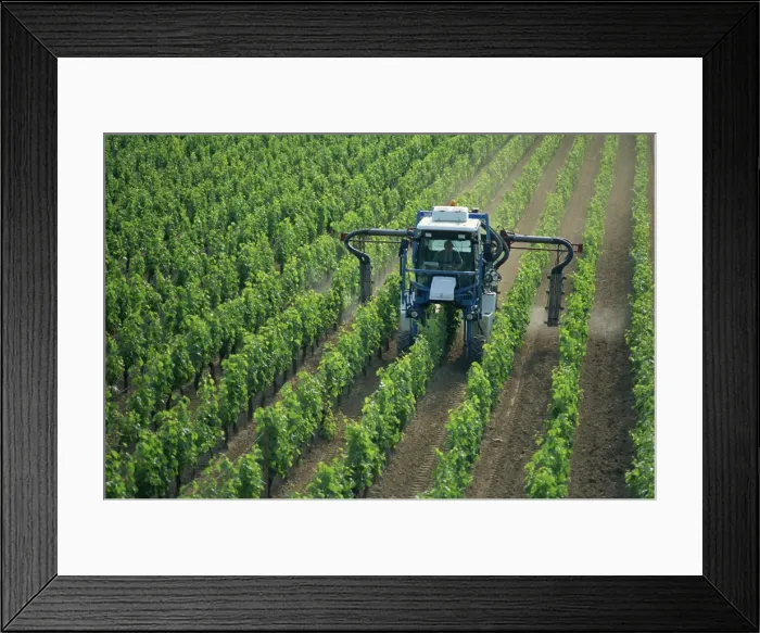 Framed Print : France, Aquitaine, Bordeaux region, St Framed Print : France, Aquitaine, Bordeaux region, St
