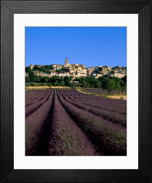 Framed Print : Village & Lavender Fields, Puimosson, Provence, France Framed Print : Village & Lavender Fields, Puimosson, Provence, France