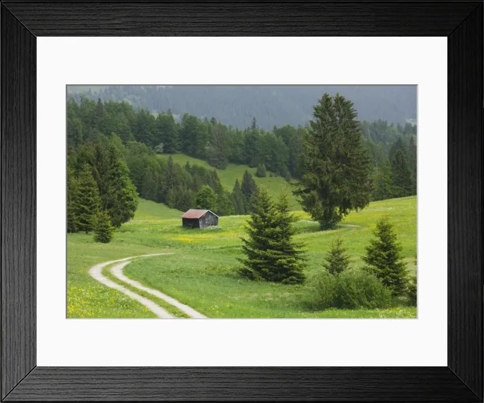 Framed Print : Germany, Bayern / Bavaria Framed Print : Germany, Bayern / Bavaria