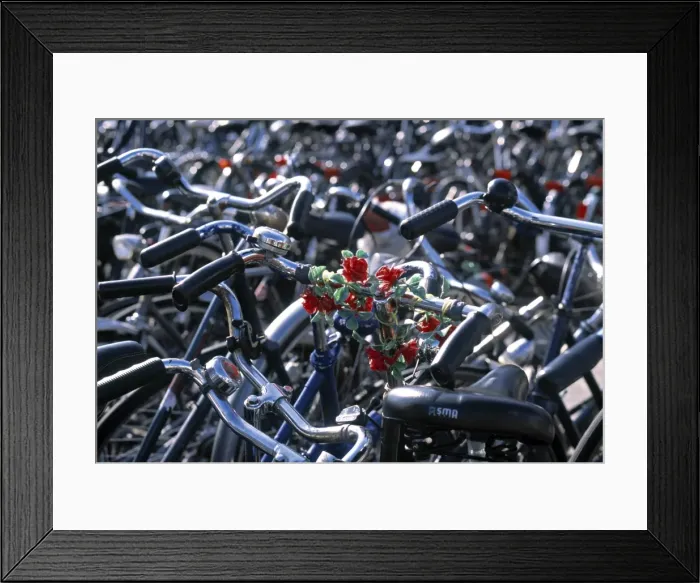 Framed Print : Bikes, Leiden Framed Print : Bikes, Leiden