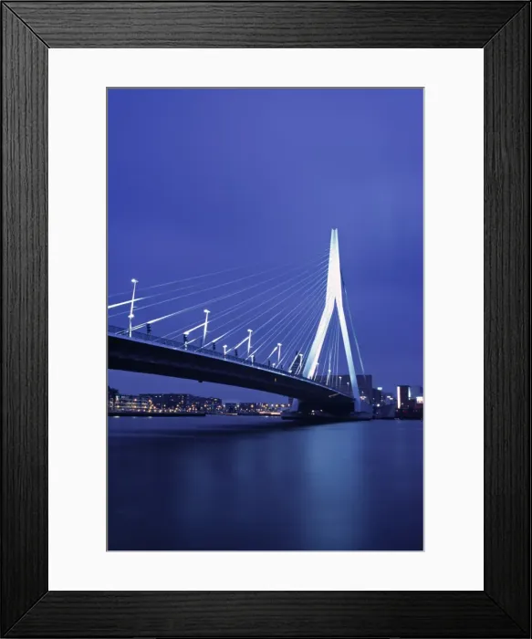 Framed Print : Erasmus Bridge Framed Print : Erasmus Bridge