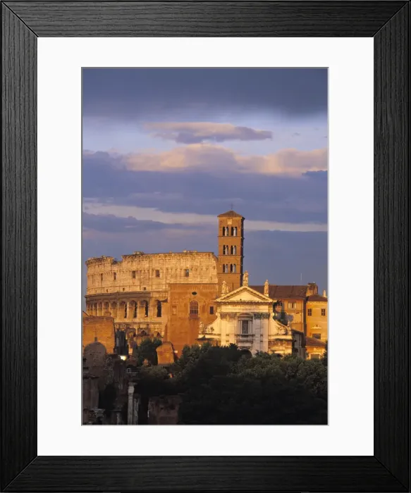 Framed Print : Roman Forum Framed Print : Roman Forum
