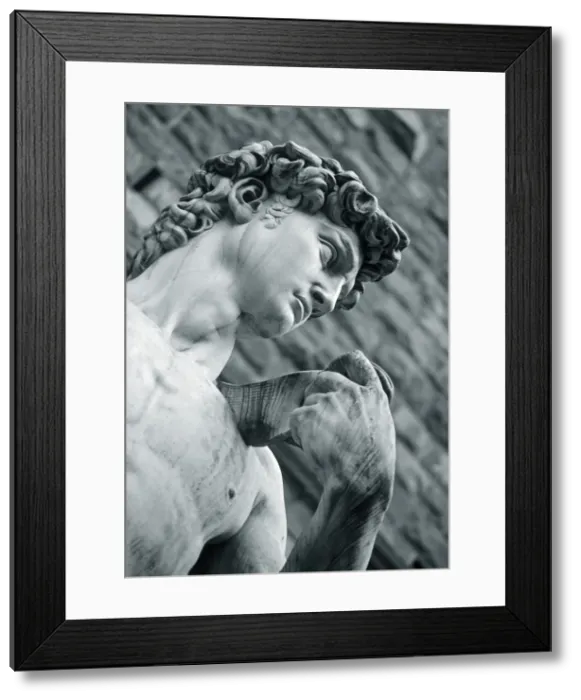 Framed Print : Statue of David Framed Print : Statue of David