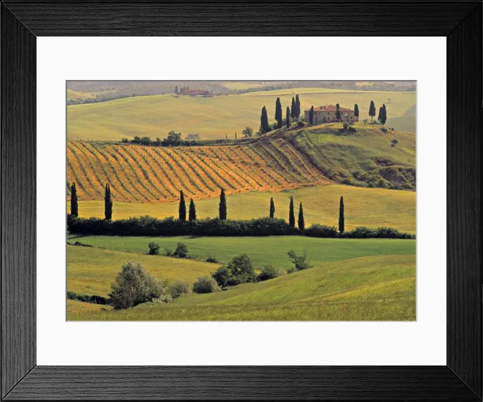 Framed Print : Val d Orcia Framed Print : Val d Orcia