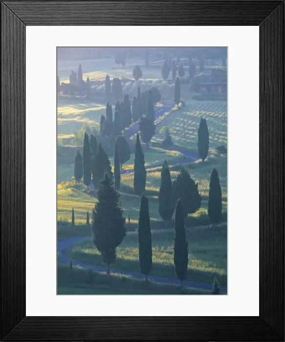 Framed Print : Winding Road Framed Print : Winding Road