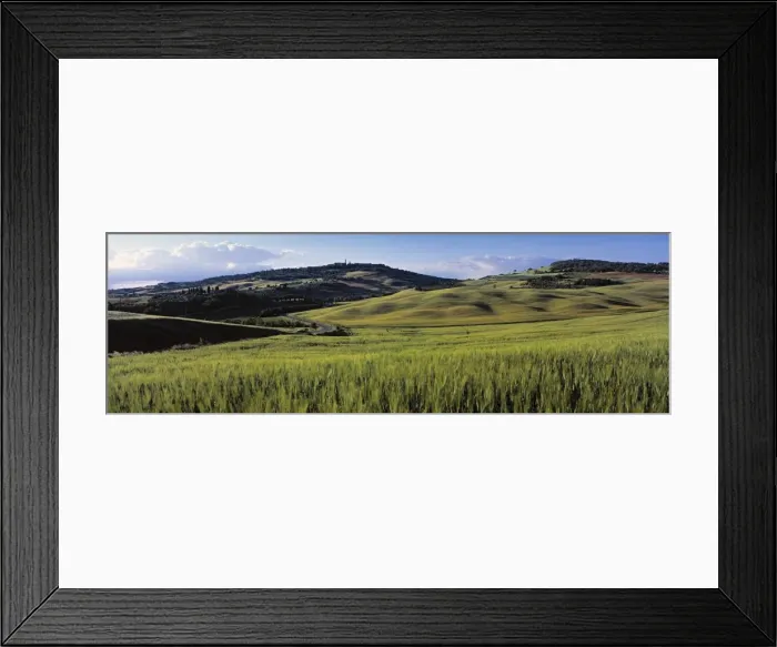 Framed Print : Panoramic Landscape near Pienza Framed Print : Panoramic Landscape near Pienza