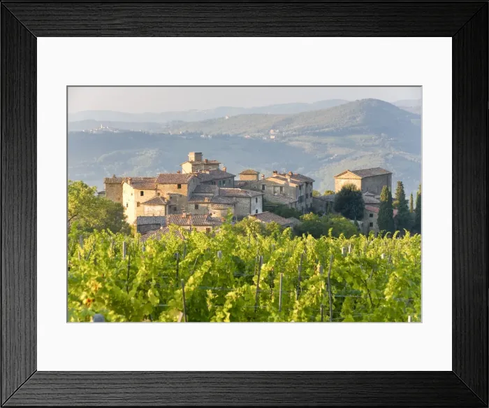 Framed Print : Vineyard and village Framed Print : Vineyard and village