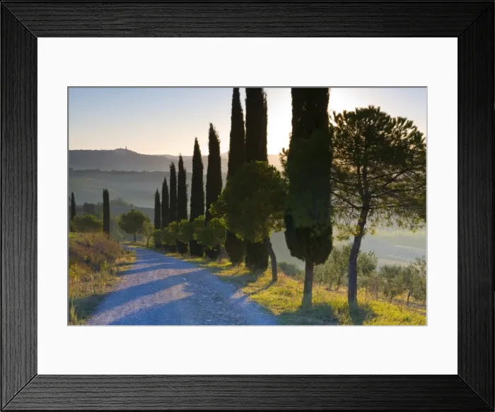 Framed Print : Country Road Towards Pienza Framed Print : Country Road Towards Pienza