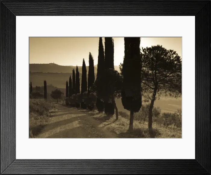 Framed Print : Country Road Towards Pienza Framed Print : Country Road Towards Pienza