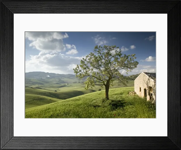Framed Print : Pergusa, Nr Framed Print : Pergusa, Nr