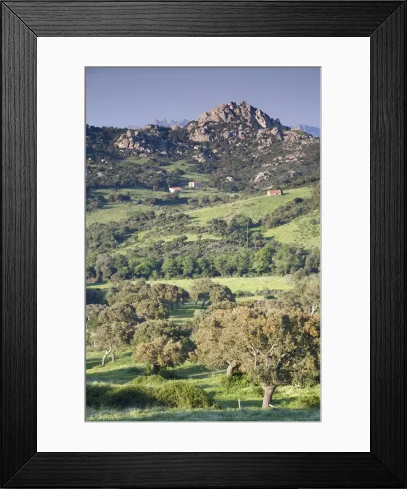 Framed Print : Valle della Luna Framed Print : Valle della Luna