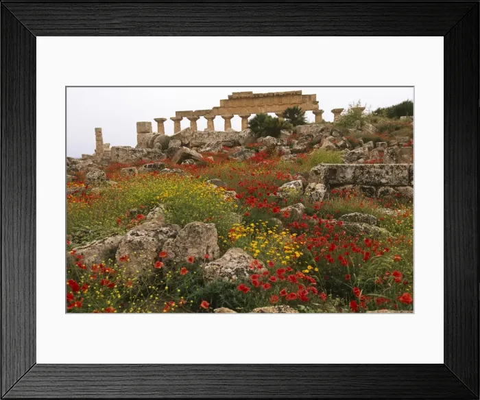 Framed Print : Italy, Sicily, Trapani Framed Print : Italy, Sicily, Trapani