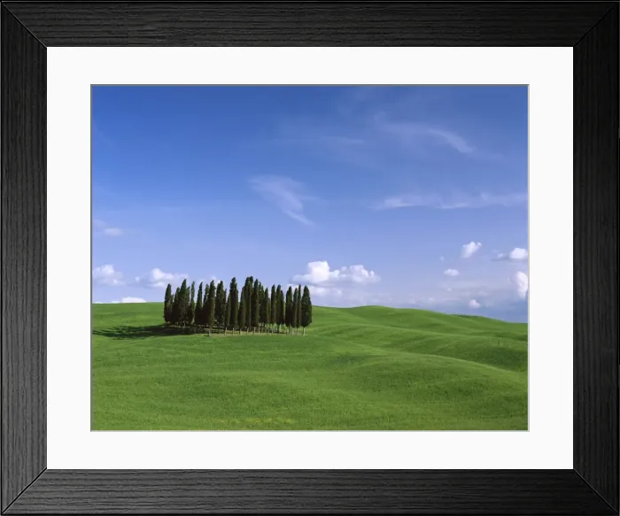 Framed Print : Val d Orcia / Countryside View / Green Grass & Cypress Trees Framed Print : Val d Orcia / Countryside View / Green Grass & Cypress Trees