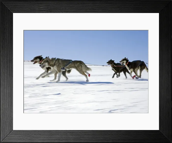 Framed Print : Norway, Troms, Lyngen Alps Framed Print : Norway, Troms, Lyngen Alps