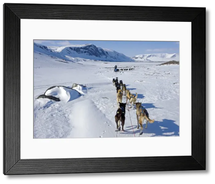 Framed Print : Norway, Troms, Lyngen Alps