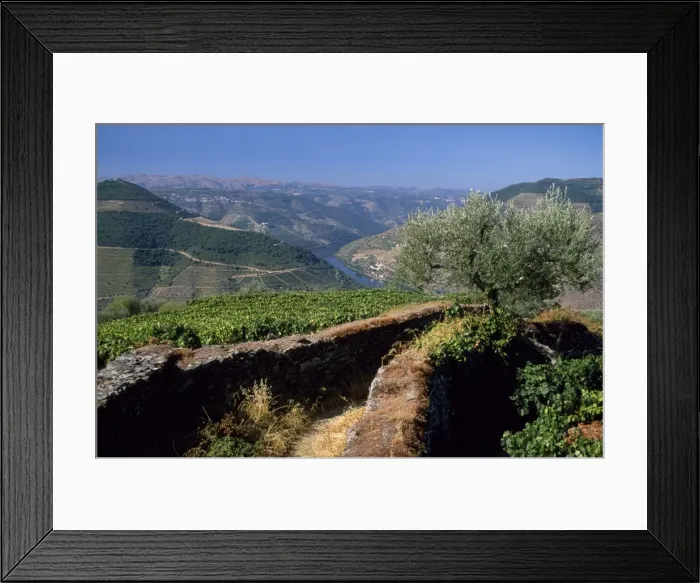 Framed Print : A narrow path Framed Print : A narrow path