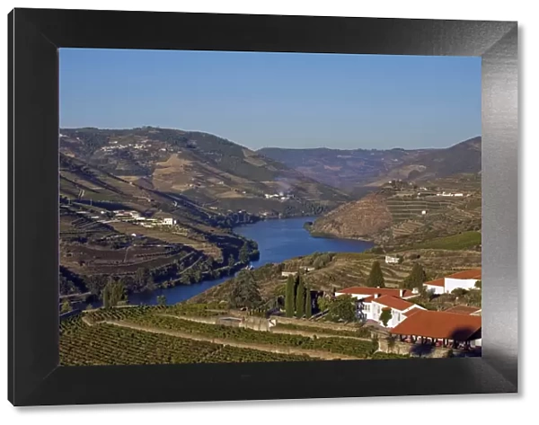 Portugal, Douro Valley, Pinhao