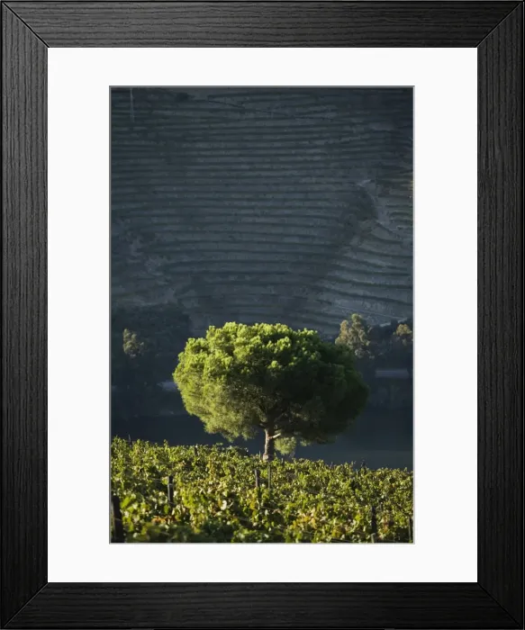 Framed Print : Portugal, Douro Valley, Pinhao Framed Print : Portugal, Douro Valley, Pinhao