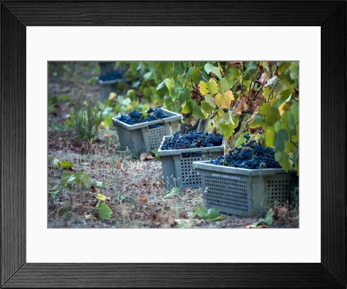 Framed Print : Portugal, Douro Valley, Pinhao Framed Print : Portugal, Douro Valley, Pinhao