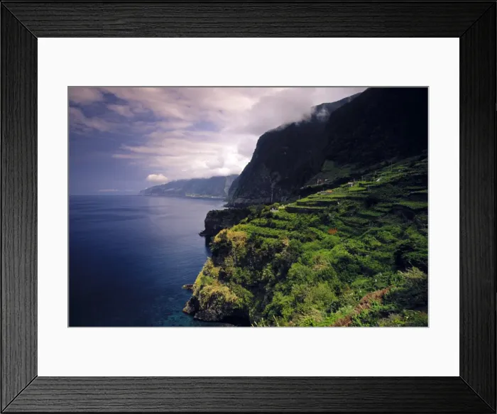 Framed Print : Terraced Vineyards Framed Print : Terraced Vineyards