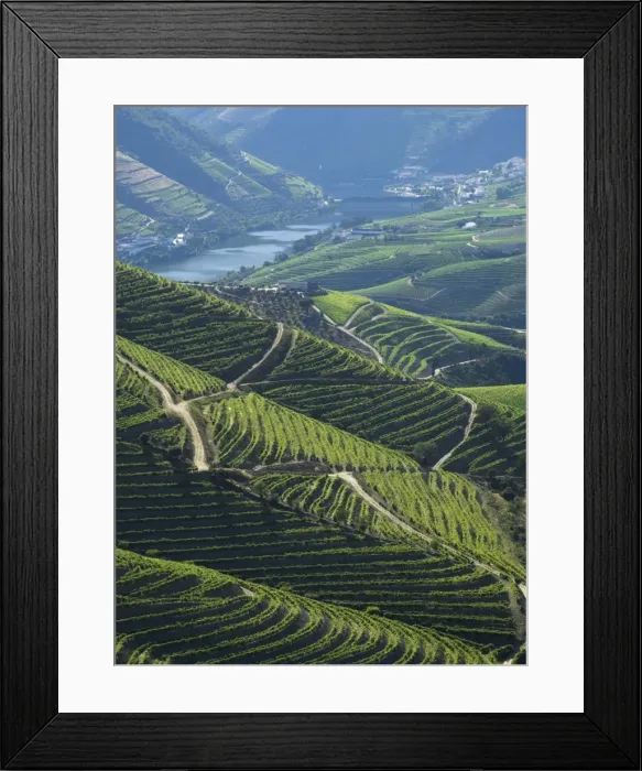 Framed Print : River Douro, Douro Region, Northern Portugal Framed Print : River Douro, Douro Region, Northern Portugal