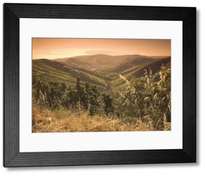 Framed Print : River Douro, Douro Region, Northern Portugal