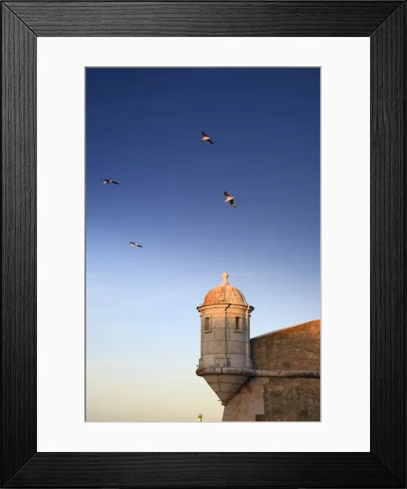 Framed Print : Fortaleza da Ponta da Bandeira Framed Print : Fortaleza da Ponta da Bandeira