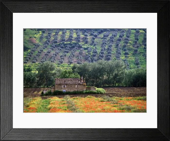 Framed Print : Landscape, Andalucia Framed Print : Landscape, Andalucia