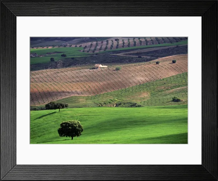 Framed Print : Landscape, Andalucia Framed Print : Landscape, Andalucia