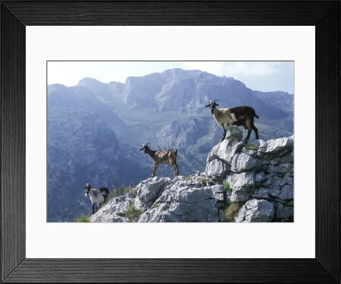 Framed Print : Spain, Picos de Europa Framed Print : Spain, Picos de Europa
