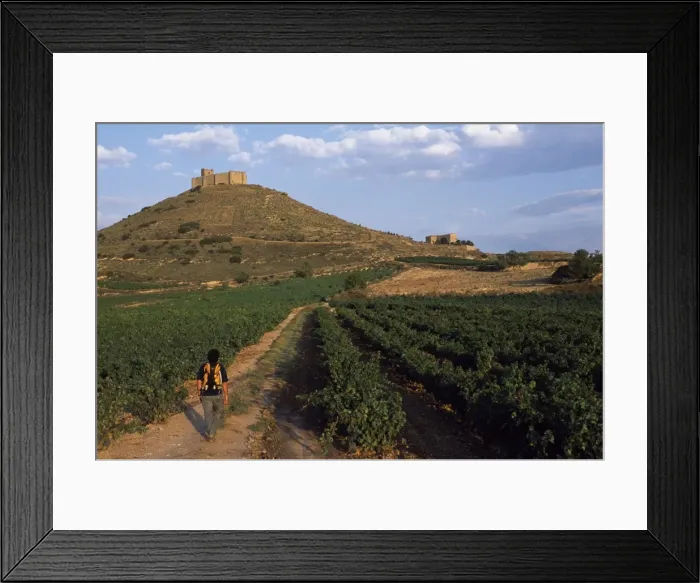 Framed Print : A walker follows a quiet path through the vineyards Framed Print : A walker follows a quiet path through the vineyards