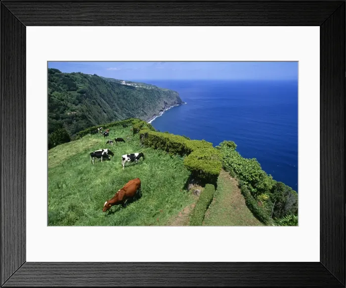 Framed Print : Clifftop view from Ponta da Madrugada on the island of Sao Miguel