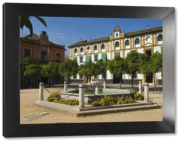 Plaza del Triunfo in the Real Alcazar Palace in Seville