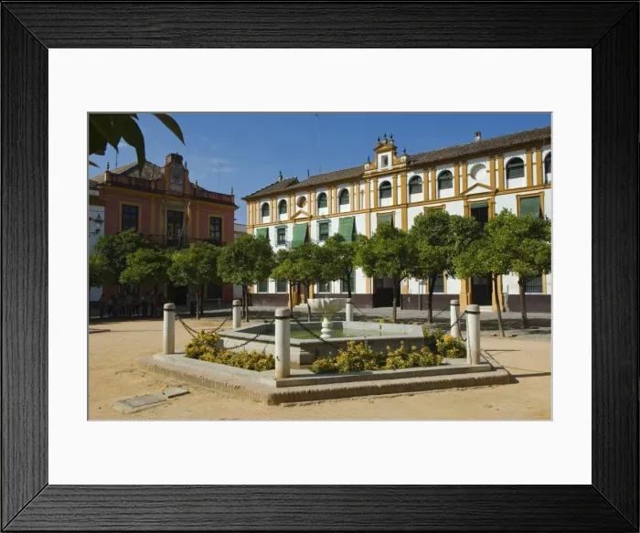 Framed Print : Plaza del Triunfo in the Real Alcazar Palace in Seville Framed Print : Plaza del Triunfo in the Real Alcazar Palace in Seville