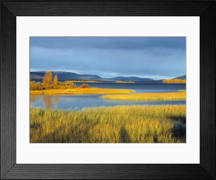 Framed Print : Lake in Laponia World Heritage Site Framed Print : Lake in Laponia World Heritage Site