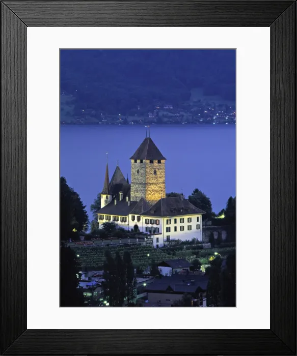 Framed Print : Castle, Spiez Framed Print : Castle, Spiez
