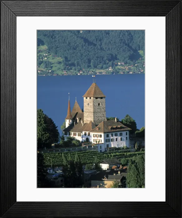 Framed Print : Castle, Spiez