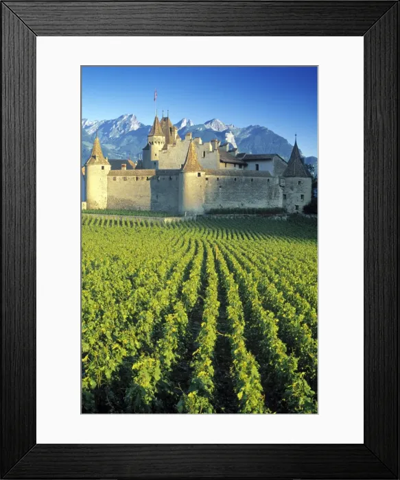 Framed Print : Chillon Chateau Framed Print : Chillon Chateau