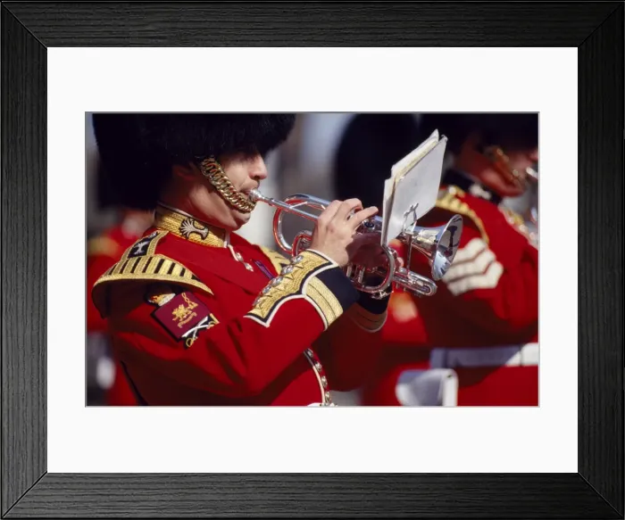 Framed Print : Trumpter at changing of the Guard Framed Print : Trumpter at changing of the Guard