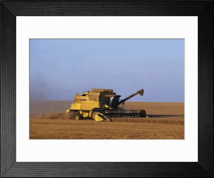 Framed Print : England, Lincolnshire, Walcot